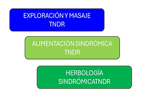 CURSOS-b.jpg