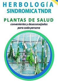 Diapositiva1 copia.JPG