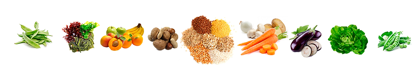 alimentos-HORIZONTAL.png