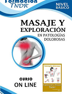 Curso Básico ON LINE TNDR, Exploración y Masaje en Patologías Dolorosas
