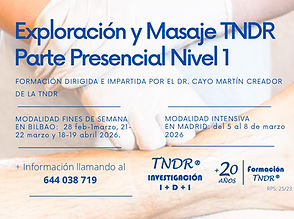 nivel 1 2026.jpg