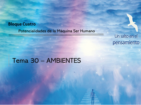 TEMA 30: AMBIENTES