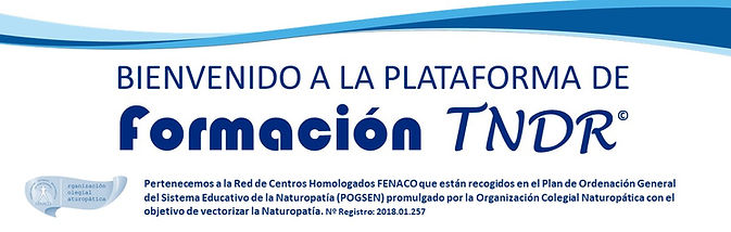 FORMACION TNDR 