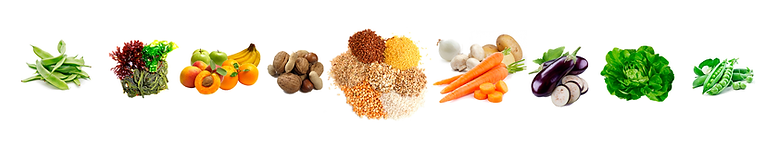 alimentos-HORIZONTAL.png
