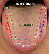 Lengiua.jpg