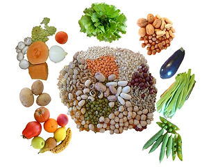 ALIMENTACION.jpg