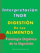 Fisiología Orgánica DIGESTIÓN-vertical.jpg