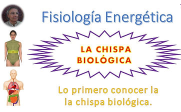 Imagen1.jpg